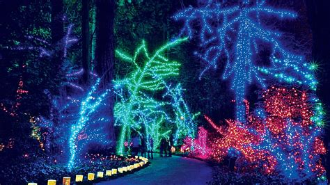Walk through christmas lights. Things To Know About Walk through christmas lights. 